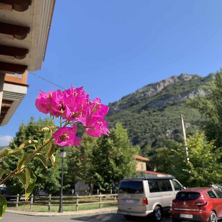 Cumbres De Los Picos Apartamento Los Abedules Poo  エクステリア 写真
