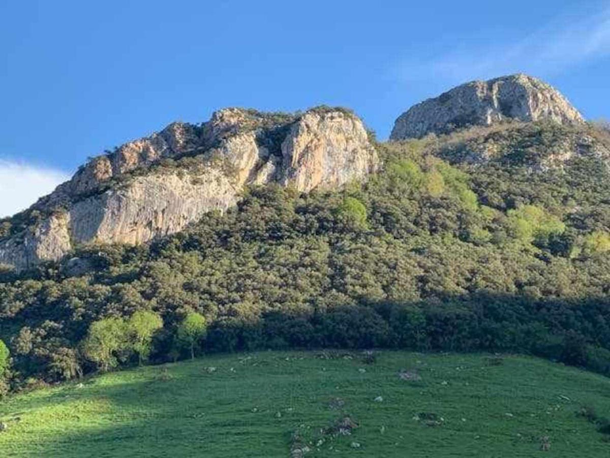 Cumbres De Los Picos Apartamento Los Abedules Poo  エクステリア 写真